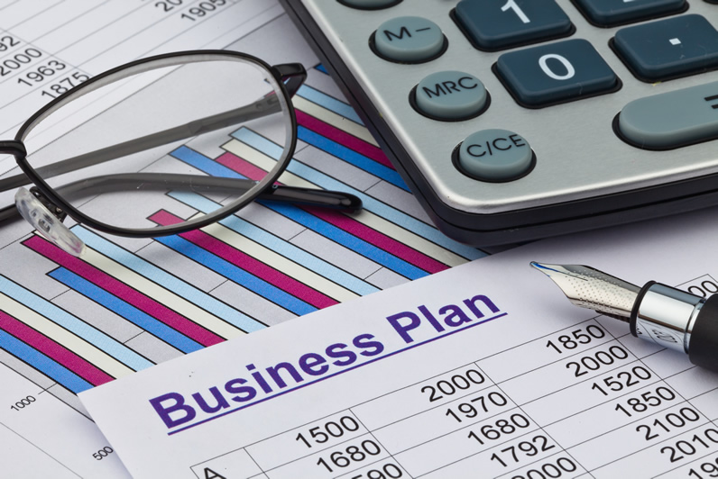 Company business plan Company business plan
